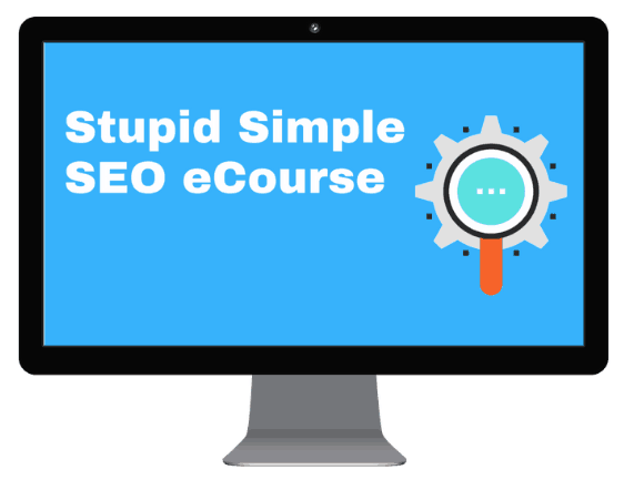 Stupid Simple SEO review