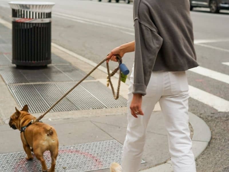 a person walking a dog on the street